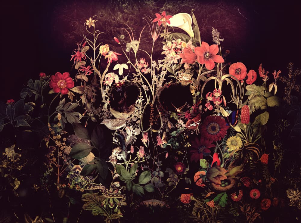 Dark Floral Skull by Ali Gulec — canvas wall art