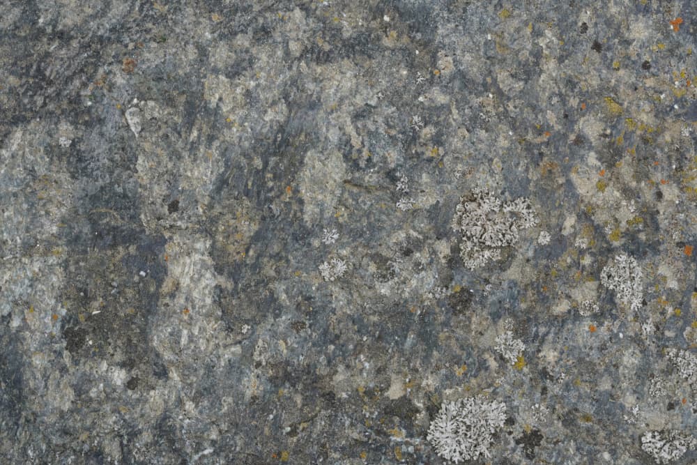 Weathered Stone Lichen Texture by Bilge Paksoylu — canvas wall art