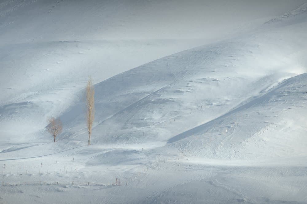 Snowy Hills Two Trees by Ali Fallahzadeh — canvas wall art