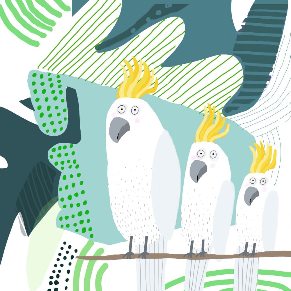 Three Tropical Cockatoos by Carla Daly — canvas wall art