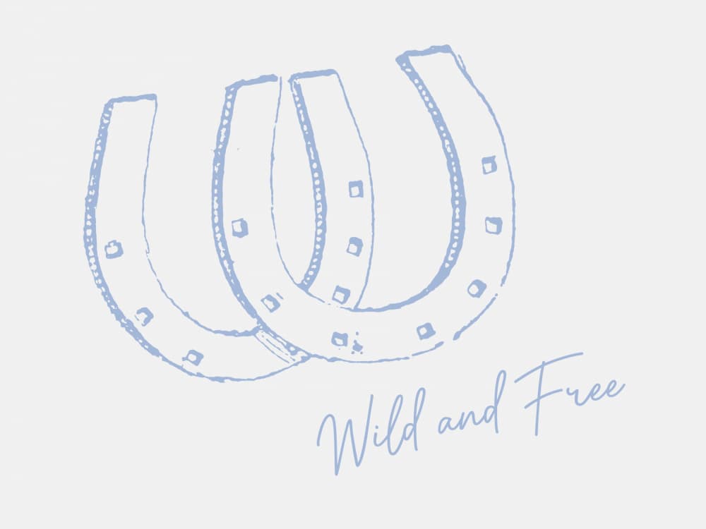 Wild And Free Horseshoes by Jolly and Dash — canvas wall art