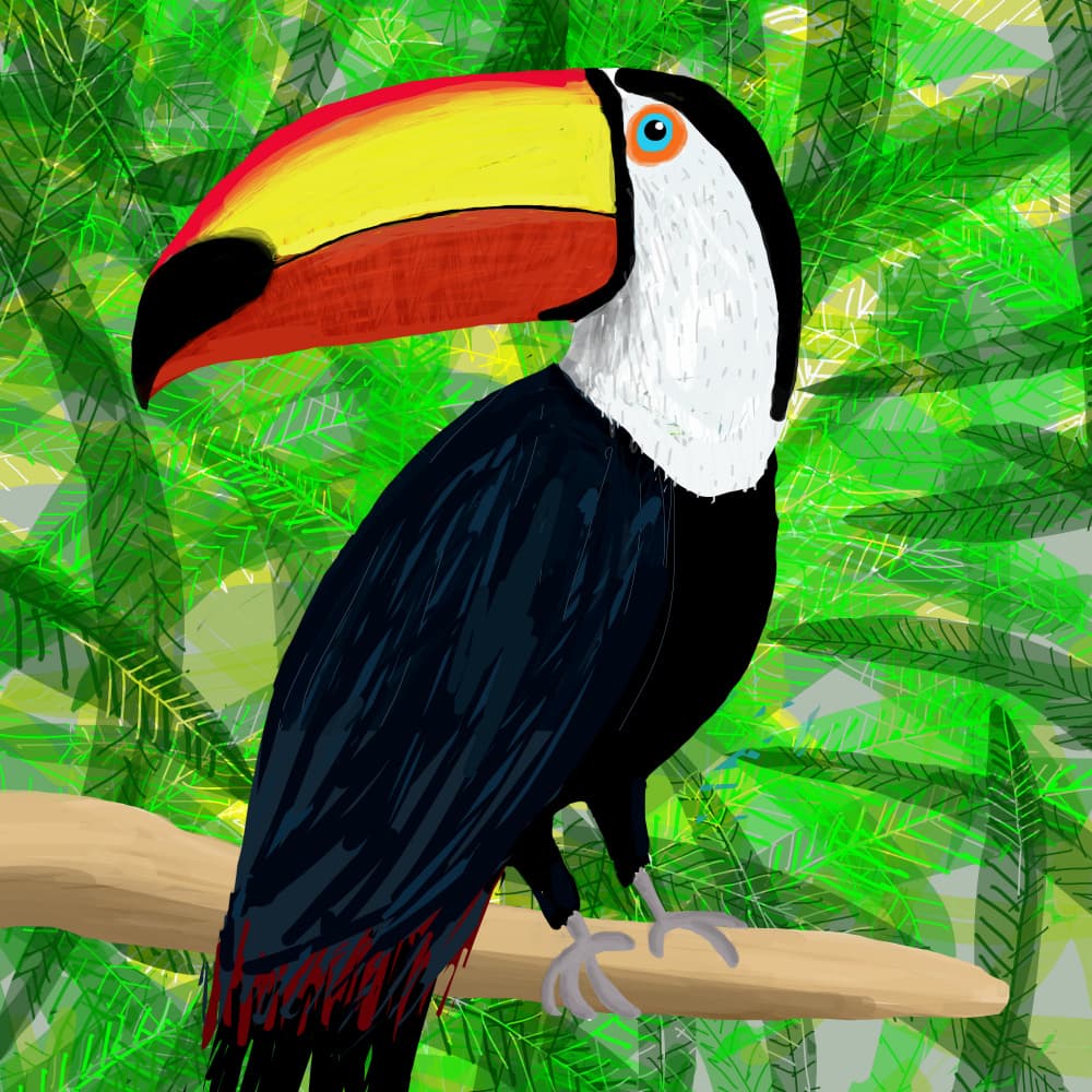 Tropical Toucan On Branch