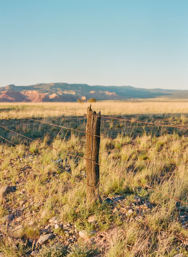 Golden Hour Fence Post by Bethany Young — canvas wall art