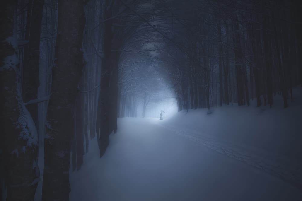 Misty Winter Forest Path by Paolo Lazzarotti — canvas wall art