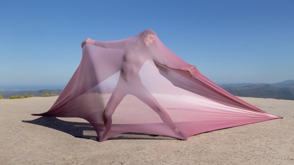 Pink Fabric Desert Figure by Joan Gil Raga — canvas wall art
