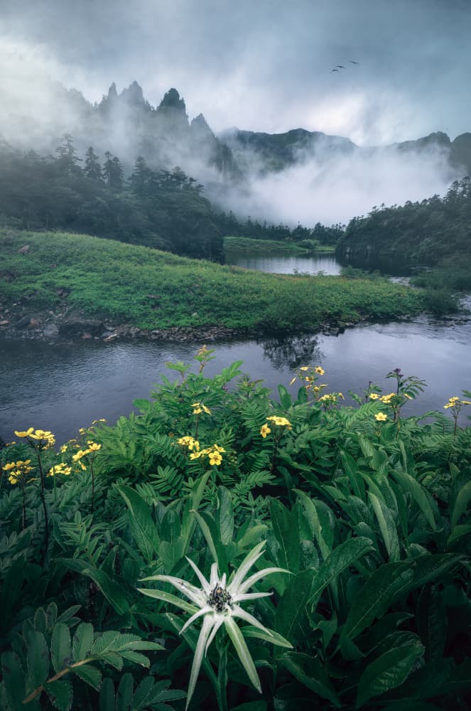 Misty Mountain River by YANGYING — canvas wall art