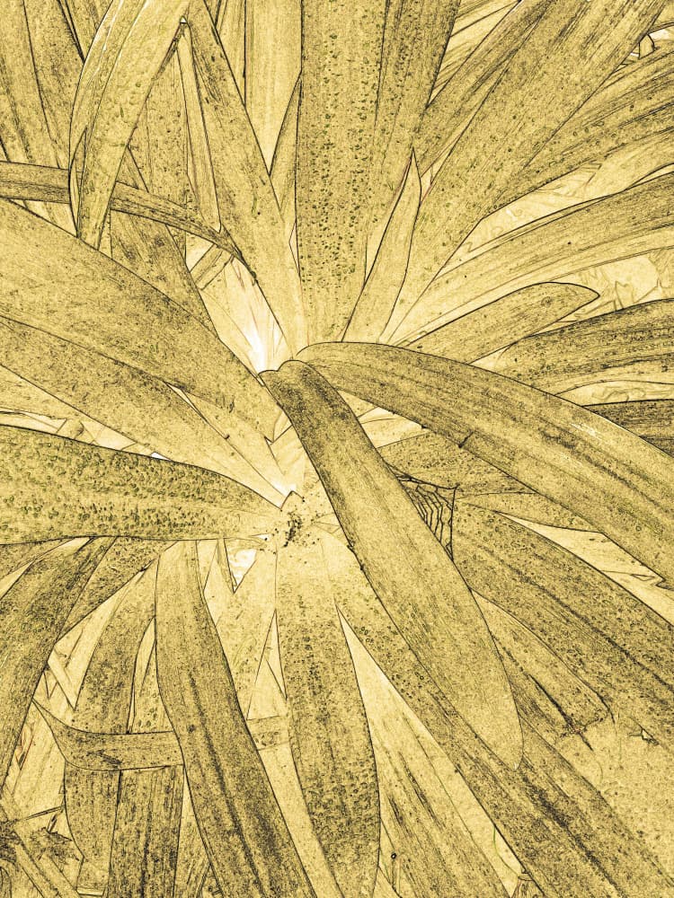 Golden Botanical Glow by Santhosh ch — canvas wall art