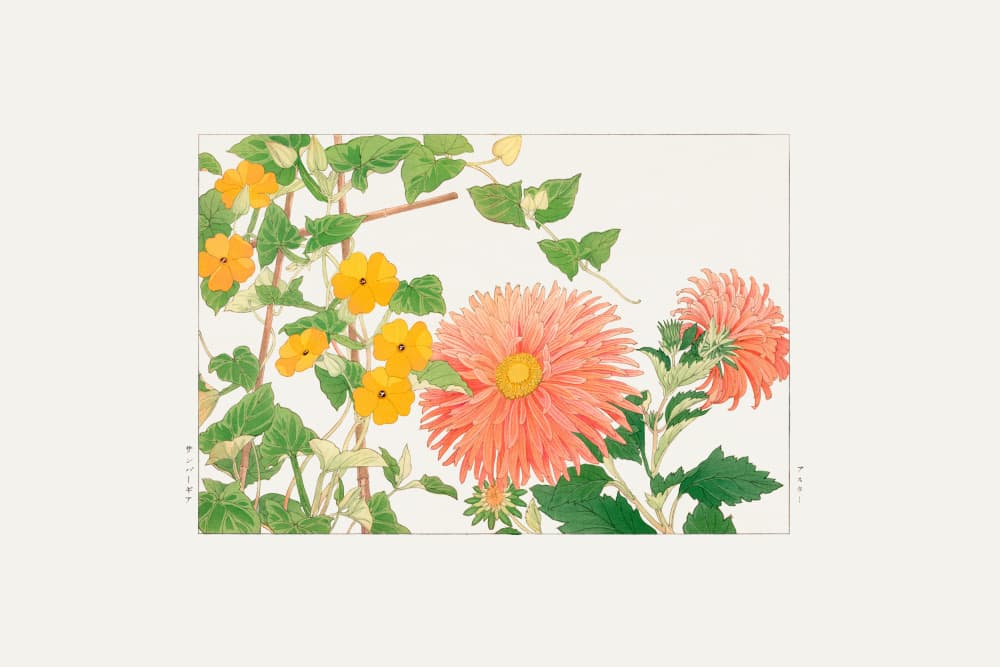 Thunbergia & Aster Flower, by Tanigami Konan — canvas wall art
