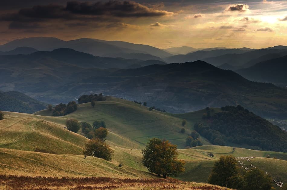 Golden Hour Valleys by Ovidiu Satmari — canvas wall art
