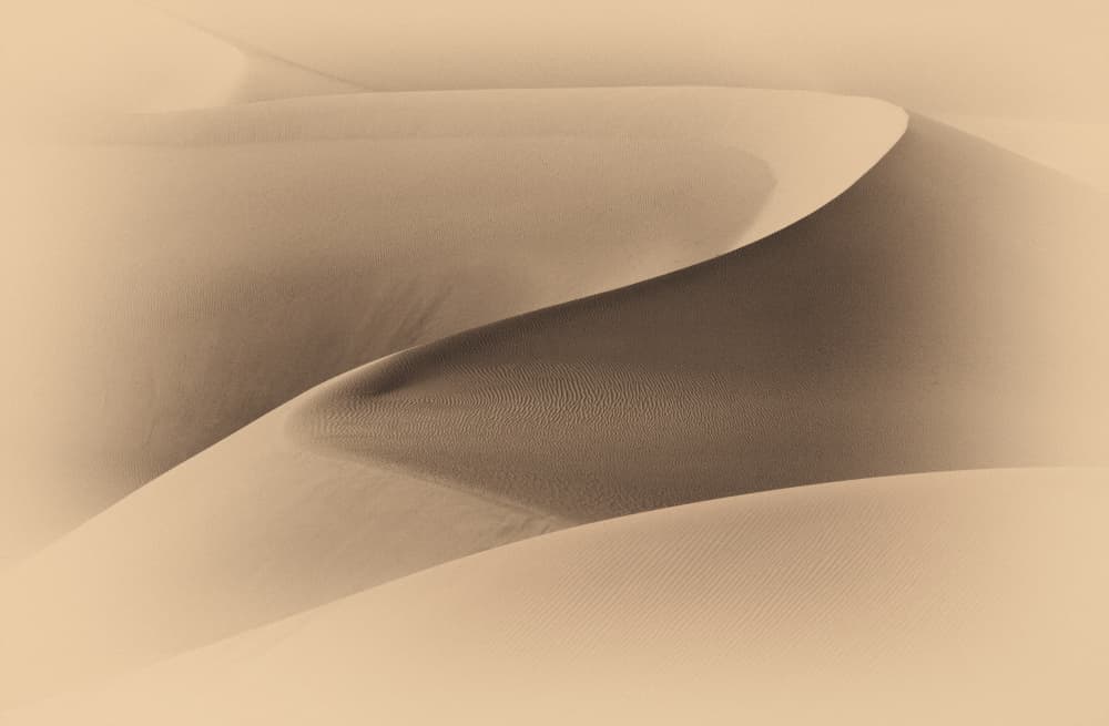 Flowing Desert Dunes by Dianne Mao — canvas wall art