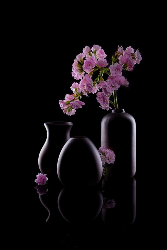 Dark Vases Pink Flowers by GaoSL — canvas wall art