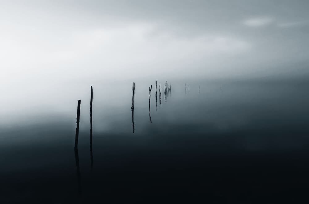 Misty Lake Posts by Ole Nielsen — canvas wall art