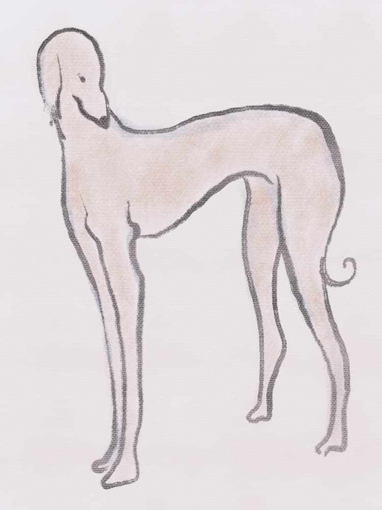 Elegant Canine Form by Little Dean — canvas wall art