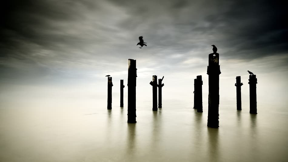 Ethereal Pillars and Crows by Paulo Dias — canvas wall art