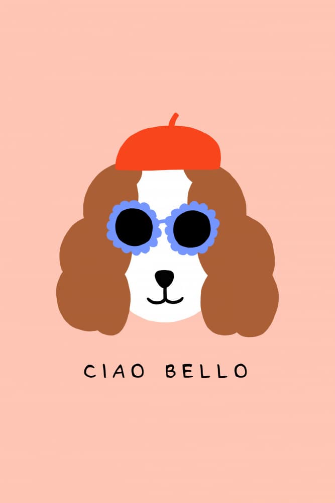 Stylish Dog Beret Shades