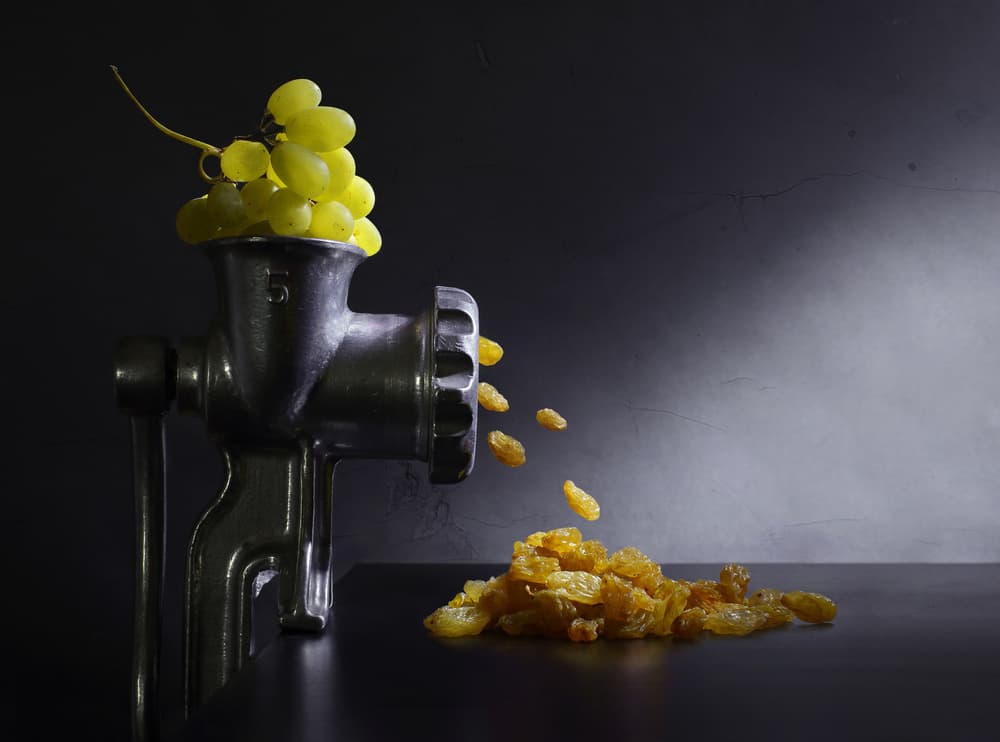 Grape Raisin Alchemy by Victoria Glinka — canvas wall art