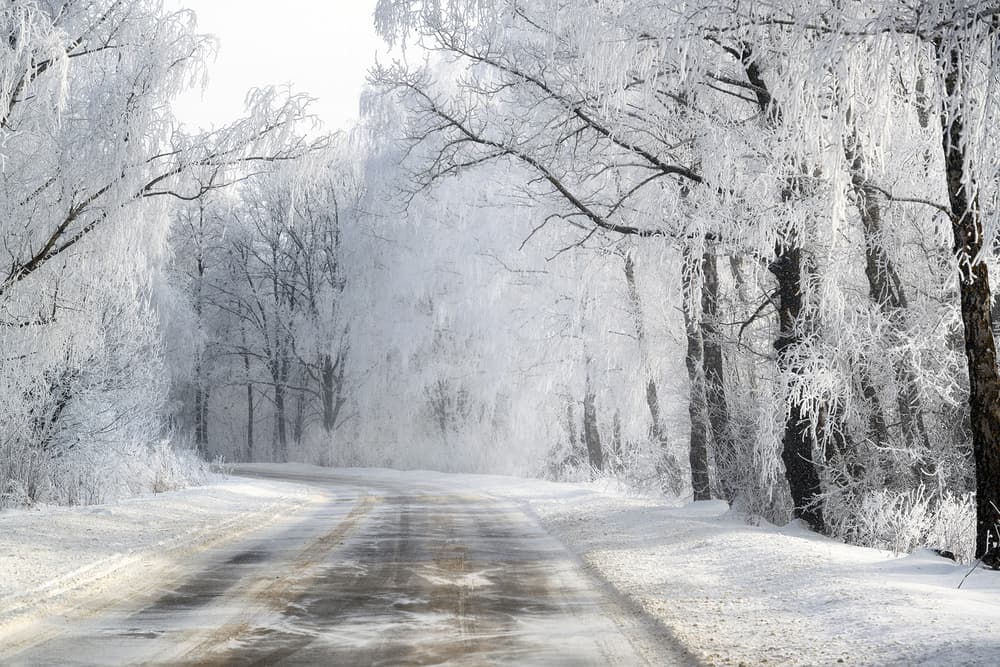 Frosty Winter Road by Dmitry Doronin — canvas wall art