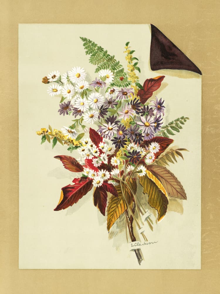 Daisies and Autumn Leaves & Ferns