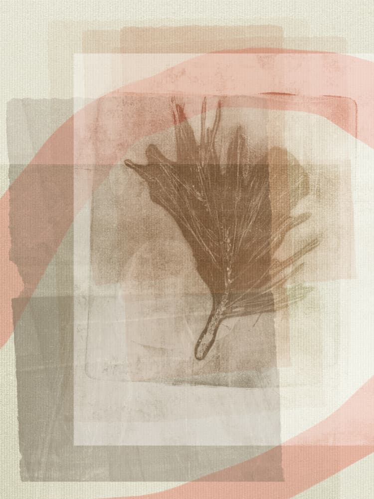 Layered Leaf Abstract by Dina Dankers — canvas wall art