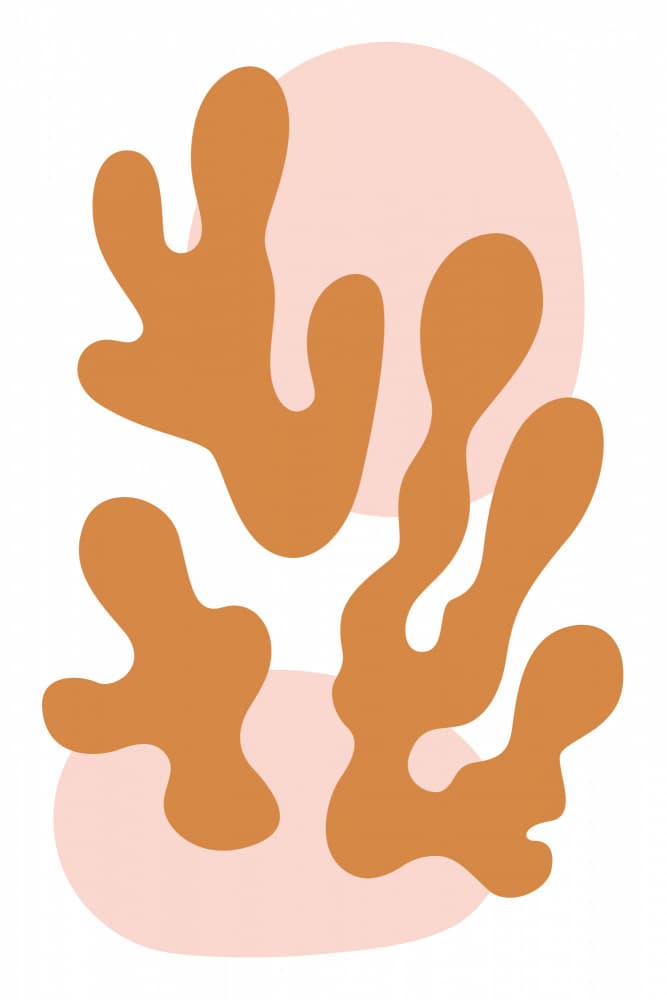 Earthy Organic Forms by jay stanley — canvas wall art