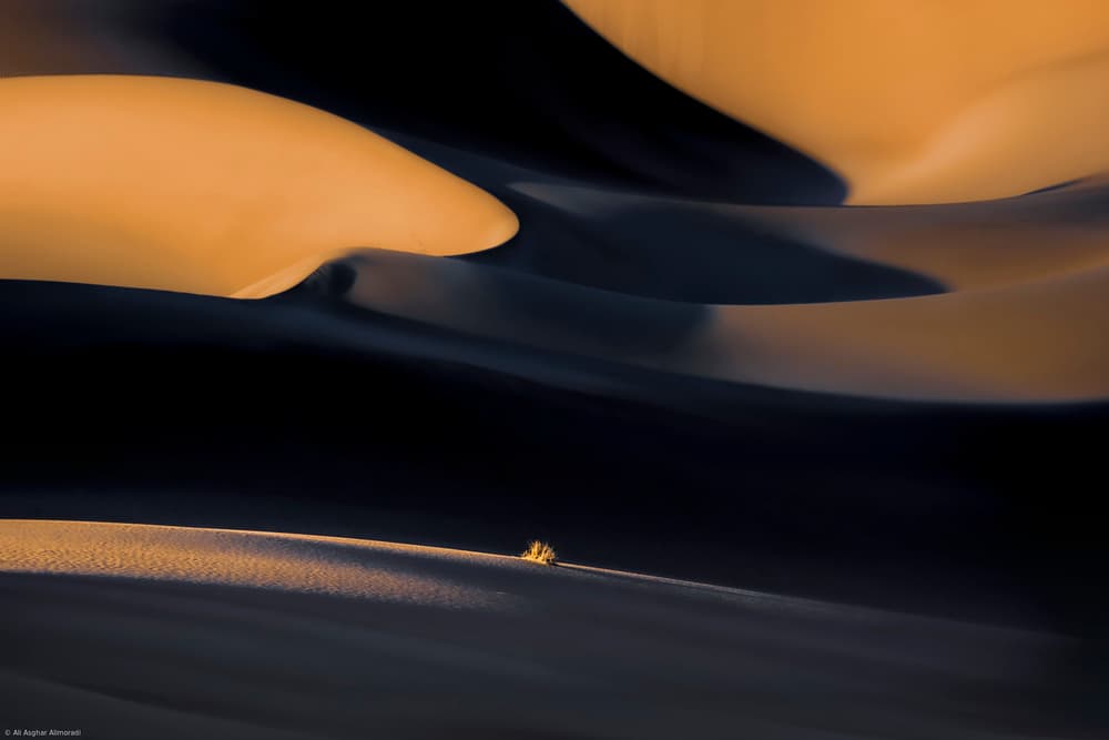 Golden Desert Shadows by Ali Asghar Alimoradi — canvas wall art