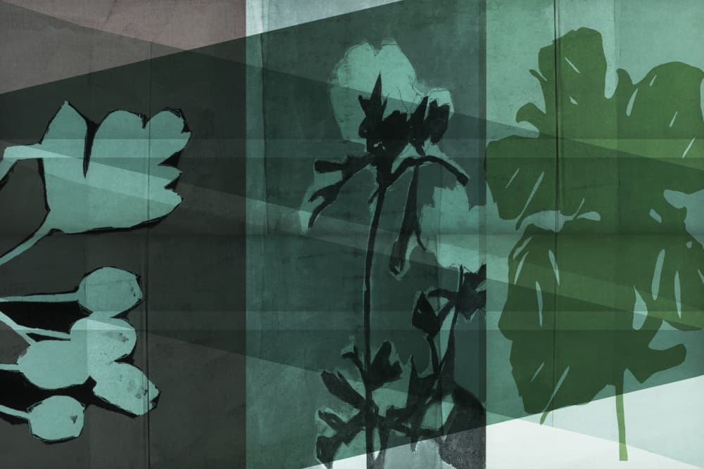 Layered Botanical Shadows by cartissi — canvas wall art