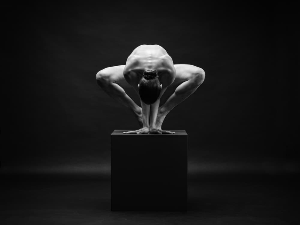 Balanced Male Dancer by Luc Stalmans — canvas wall art