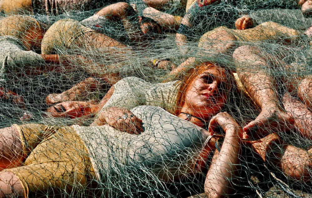 Caught In The Net by RABIA BASHA ARTIST — canvas wall art