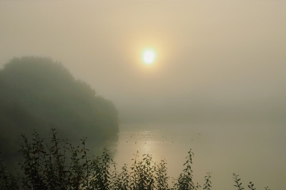 Misty Morning Sunrise by Anke Sol — canvas wall art