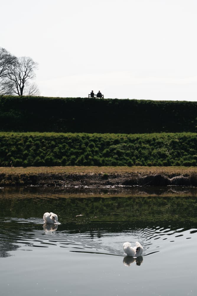 Swans And Park Silhouettes by Theodor Gerhamn — canvas wall art