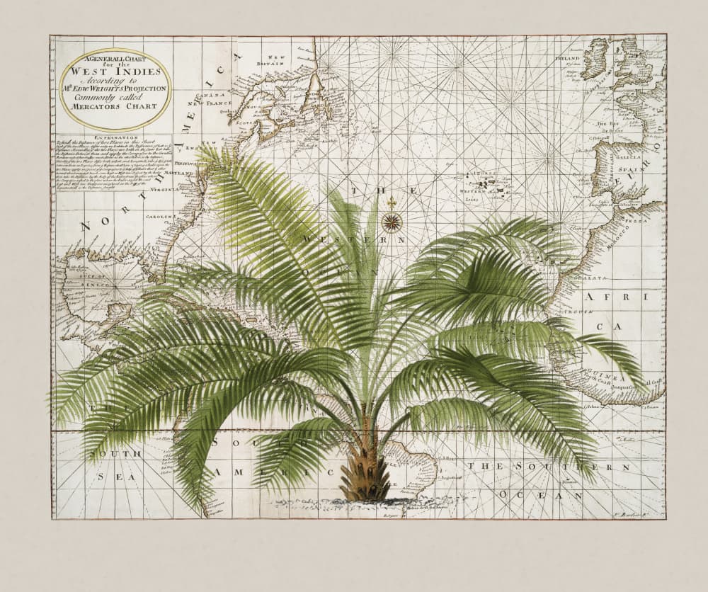 Vintage Caribbean Palm Map by Andrea Haase — canvas wall art