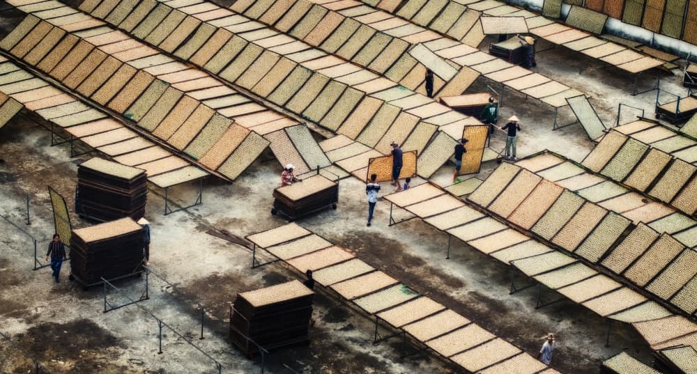 Asian Sun Drying by Nguyen Tan Tuan — canvas wall art