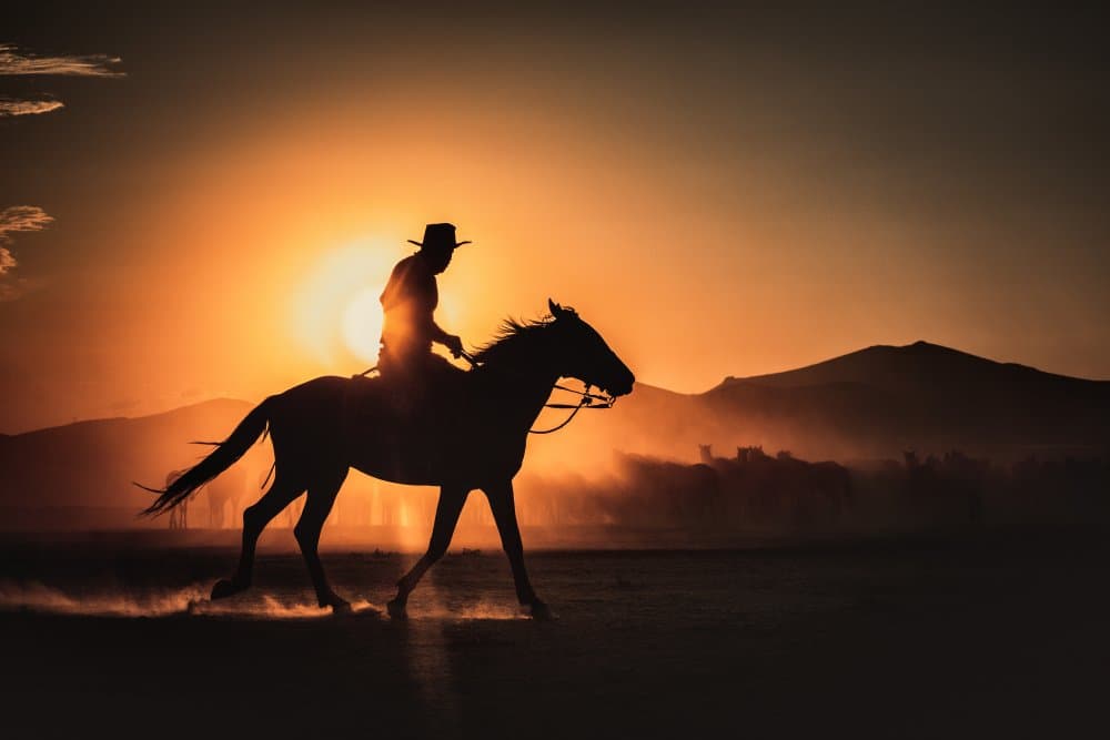Cowboy Sunset Ride by M. Emre Erol — canvas wall art