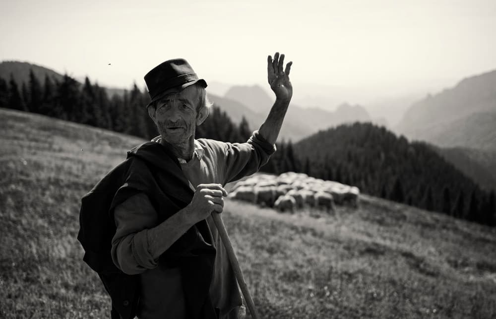 Waving Mountain Shepherd by Julien Oncete — canvas wall art
