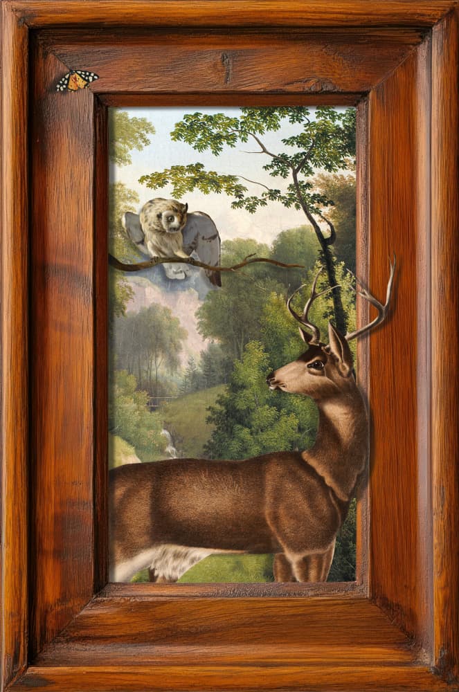 Forest Deer and Owl