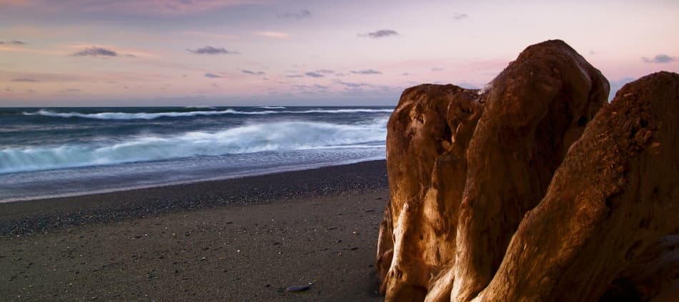 Driftwood Beach Sunset by ArtFiction (Andre Gehrmann) — canvas wall art