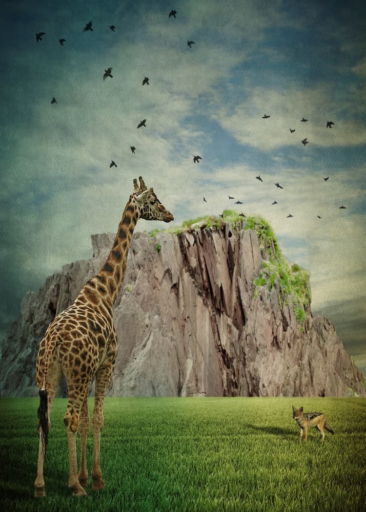 Surreal Giraffe Vista by Lucyna Łazarska  ( Lucynda Lu ) — canvas wall art