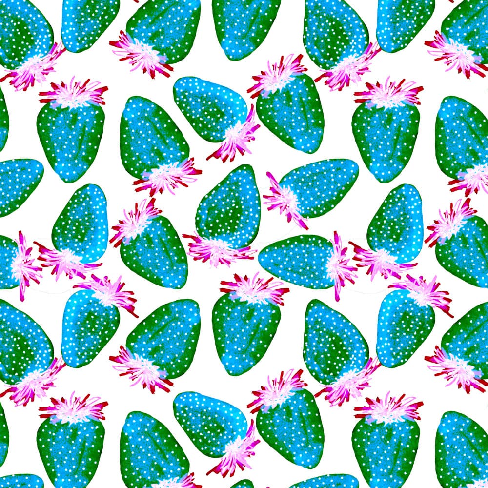 Tropical Cactus Pattern by Michele Channell — canvas wall art