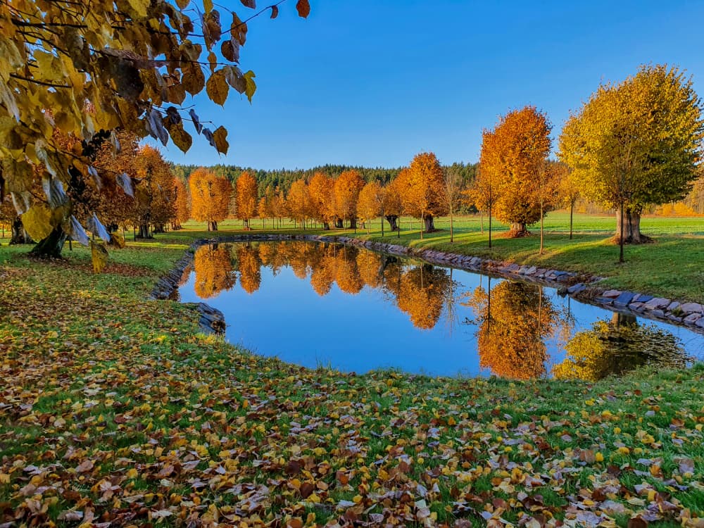 Golden Autumn Reflections by Olea Huuska — canvas wall art