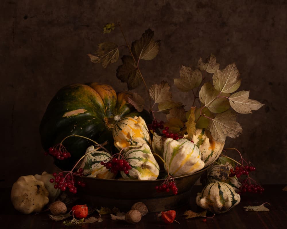Dark Autumn Gourds by magnola — canvas wall art