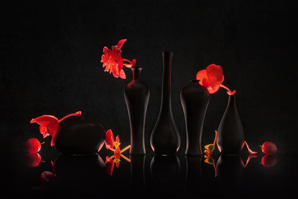 Crimson Blooms Black Vases by Lydia Jacobs — canvas wall art