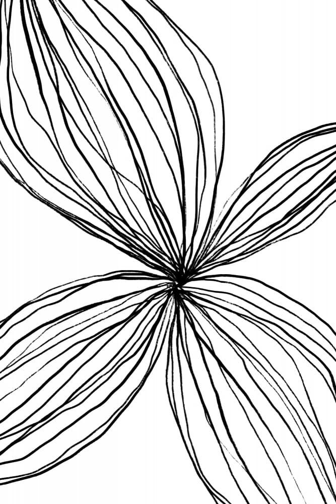 Flowing Petal Lines by uplusmestudio — canvas wall art