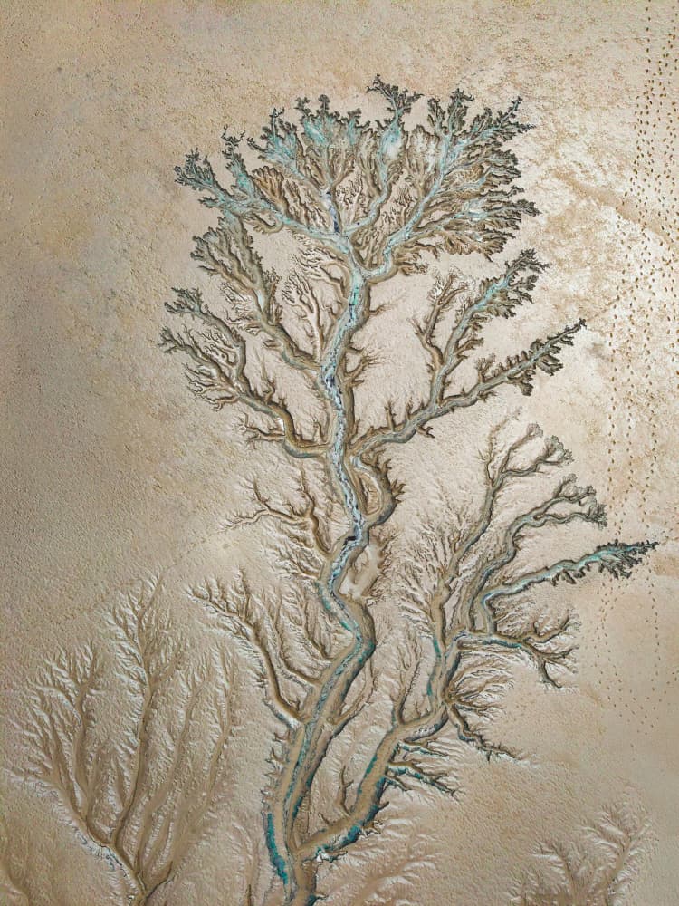 Branching Desert River by YY DB — canvas wall art
