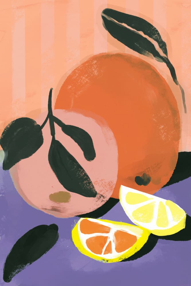 Citrus Harmony by Treechild — canvas wall art