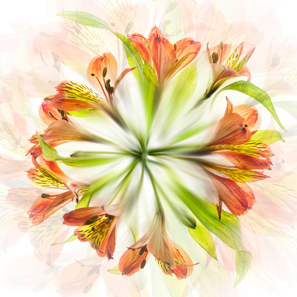 Around the center by Greetje van Son — canvas wall art