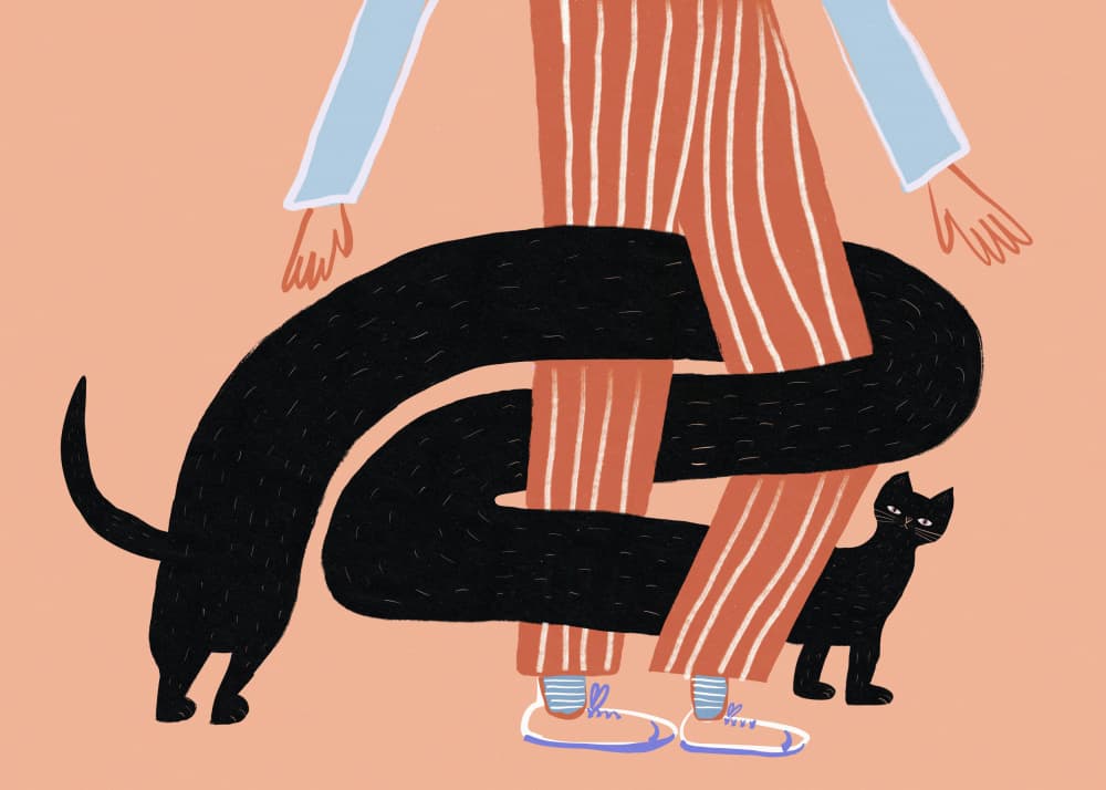 Playful Cat Legs by Sharyn Bursic — canvas wall art