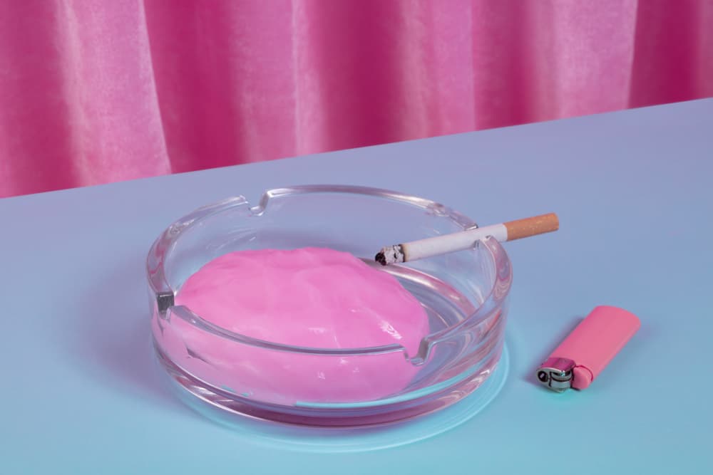 Pink Ashtray Still Life by Julia Ramiro — canvas wall art