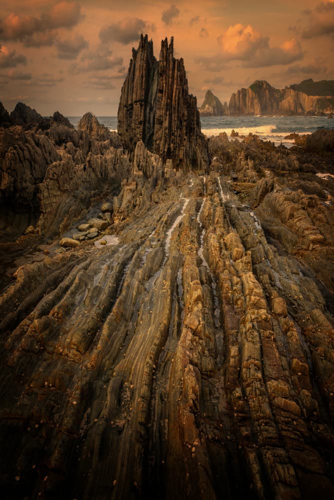 Golden Coastal Spikes by Yuan Su — canvas wall art