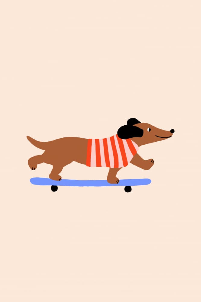 Skateboarding Dachshund Dog