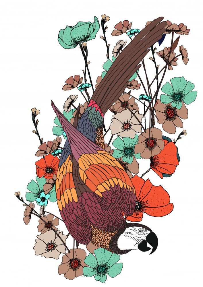 Vibrant Parrot Garden by Nicholas — canvas wall art